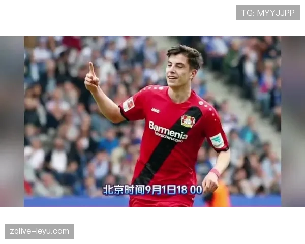 德甲转会市场持续升温:最新球员交易凸显联赛活力 德甲转会市场持续升温:最新球员交易凸显联赛活力