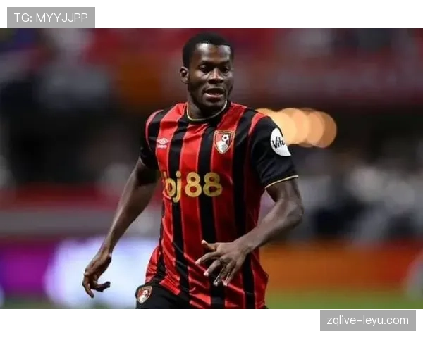 布伦特福德球迷集体抗议，呼吁俱乐部管理政策改革