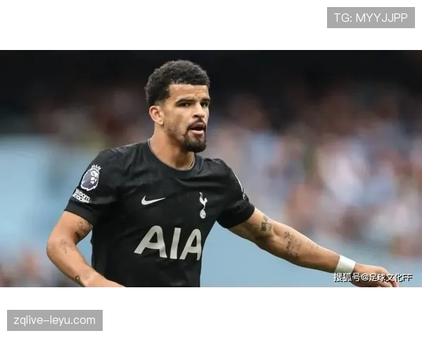 英超多米尼克·索兰克 英超多米尼克·索兰克