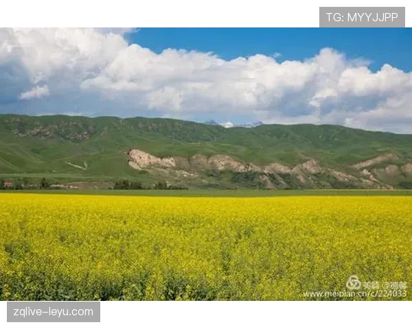 刷到唐佳豪家居照，睡眼朦胧的他旁边放着那个奢侈包，把我半年工资直接按回起点，真离谱